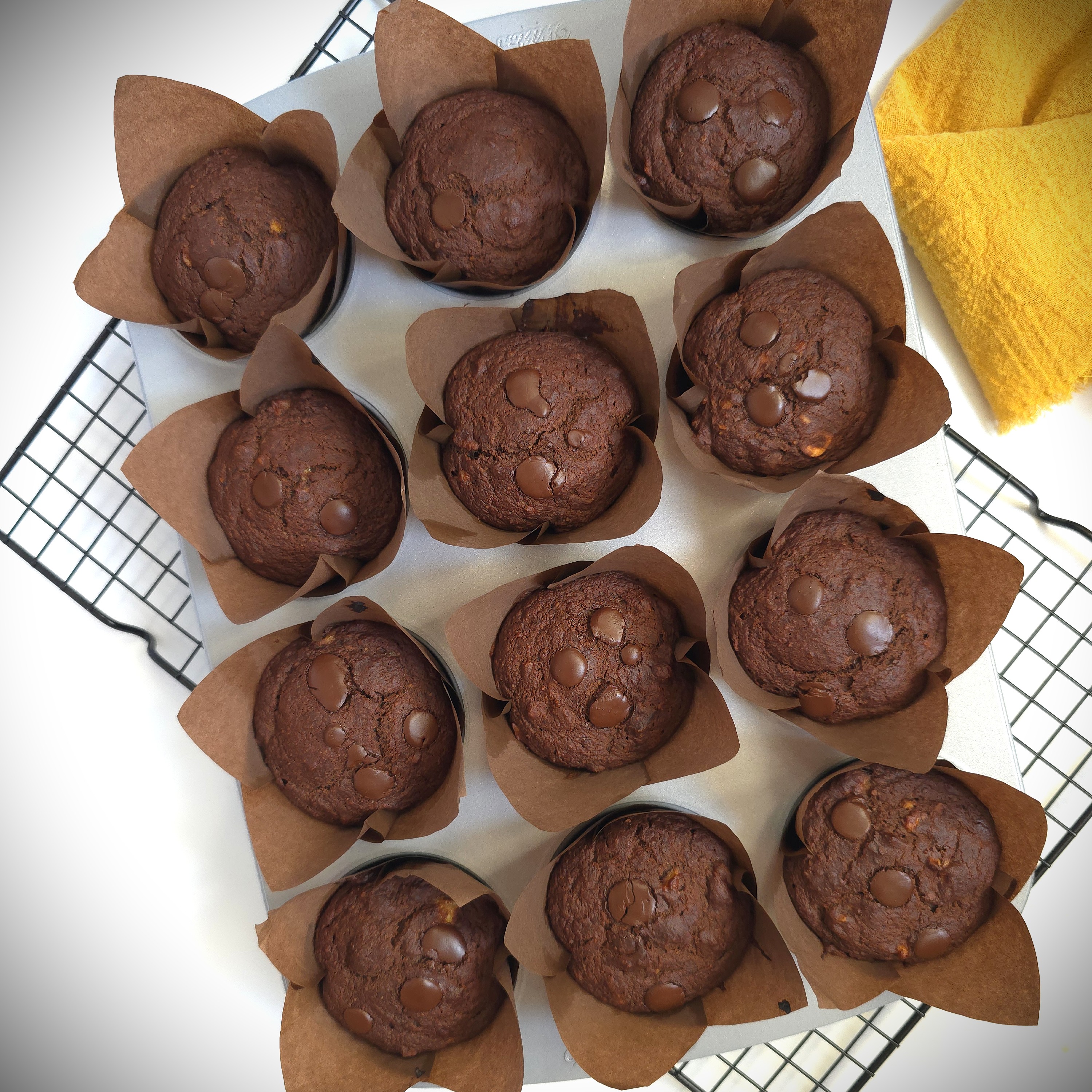 gluten-free chocolate muffins in a baking tray