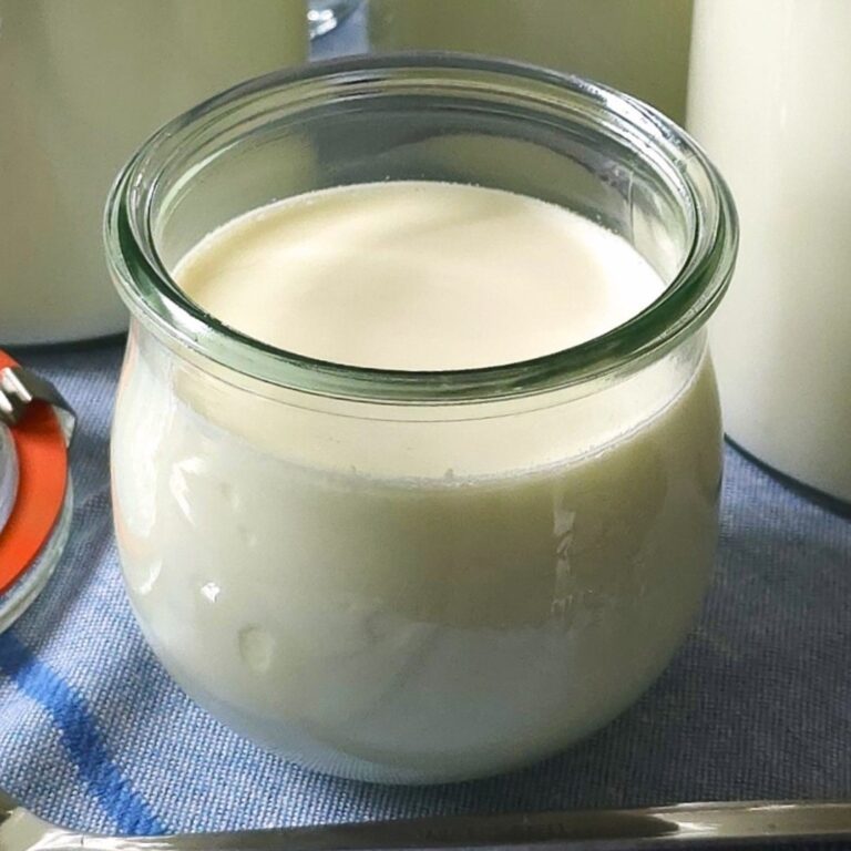 A small open jar of 24-hour fermented Bulgarian yogurt placed in front of taller sealed jars.