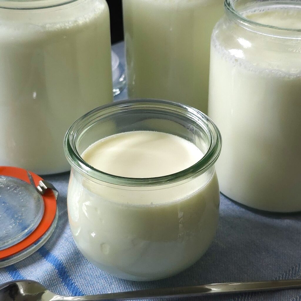 homemade Bulgarian yogurt Instant pot recipe in jars