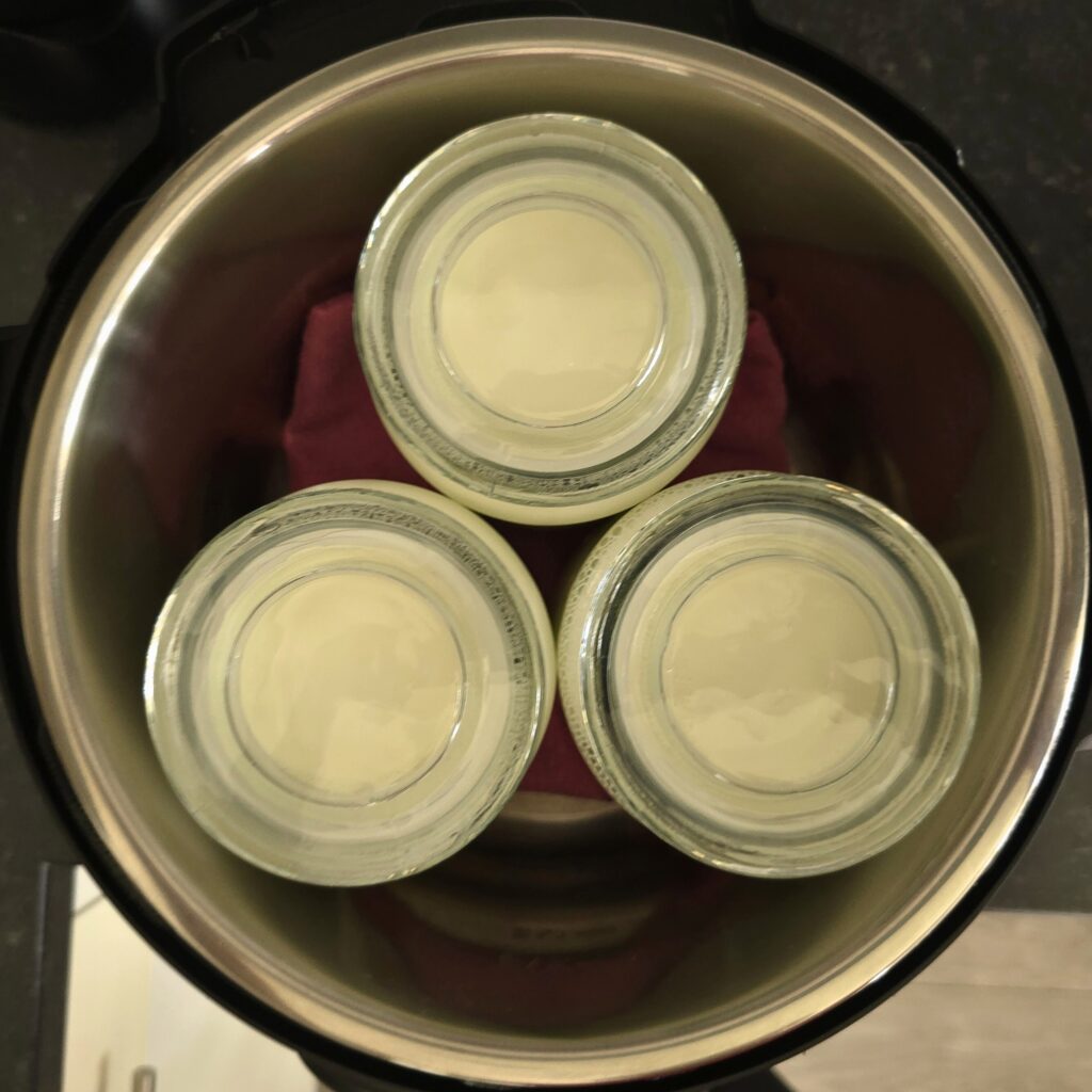 Glass jars filled with yogurt placed inside an Instant Pot, ready for 24-hour fermentation.