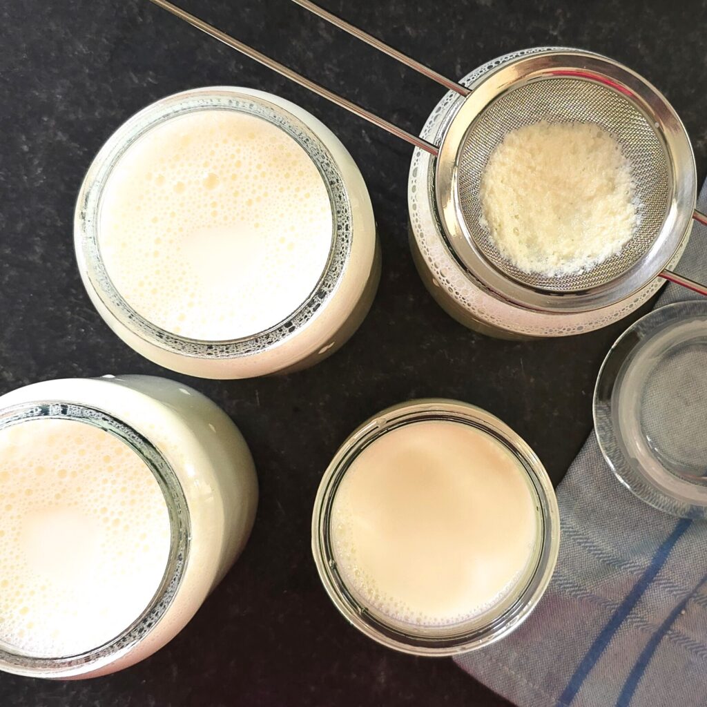 Straining warm milk through a sieve into glass jars for homemade Bulgarian yogurt.