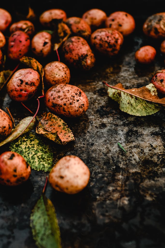 A close-up of freshly harvested potatoes with autumn leaves on rough soil.