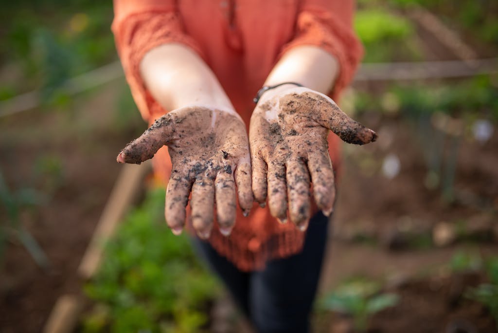 Muddy hands stretched out in a garden symbolizing connection to nature.