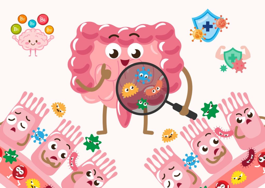 Cartoon gut character examining microbes