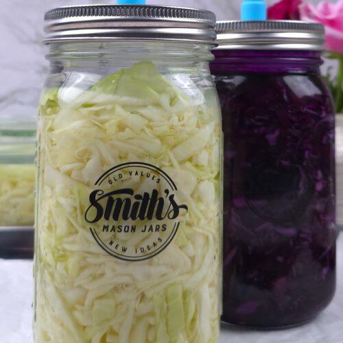 sauerkraut from white and red cabbage in two fermentation jars