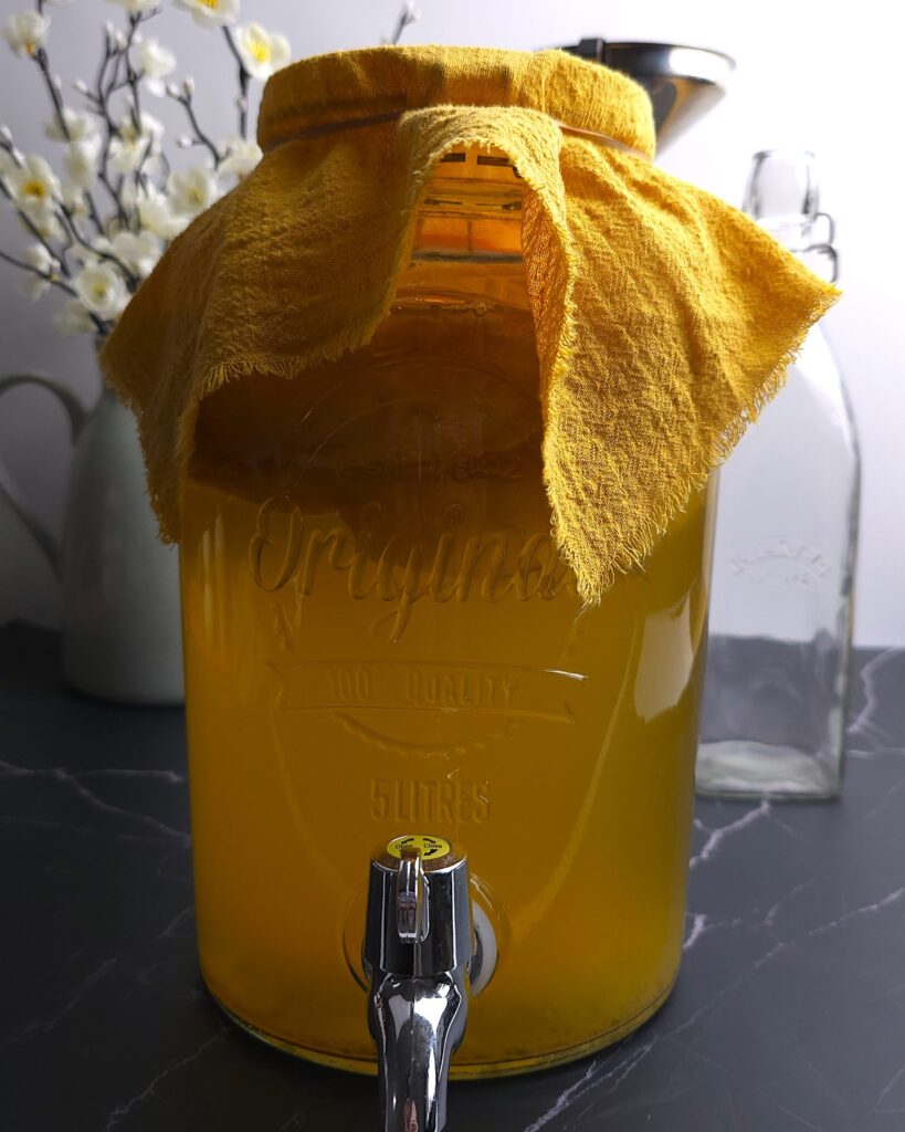 a 5L kombucha jar