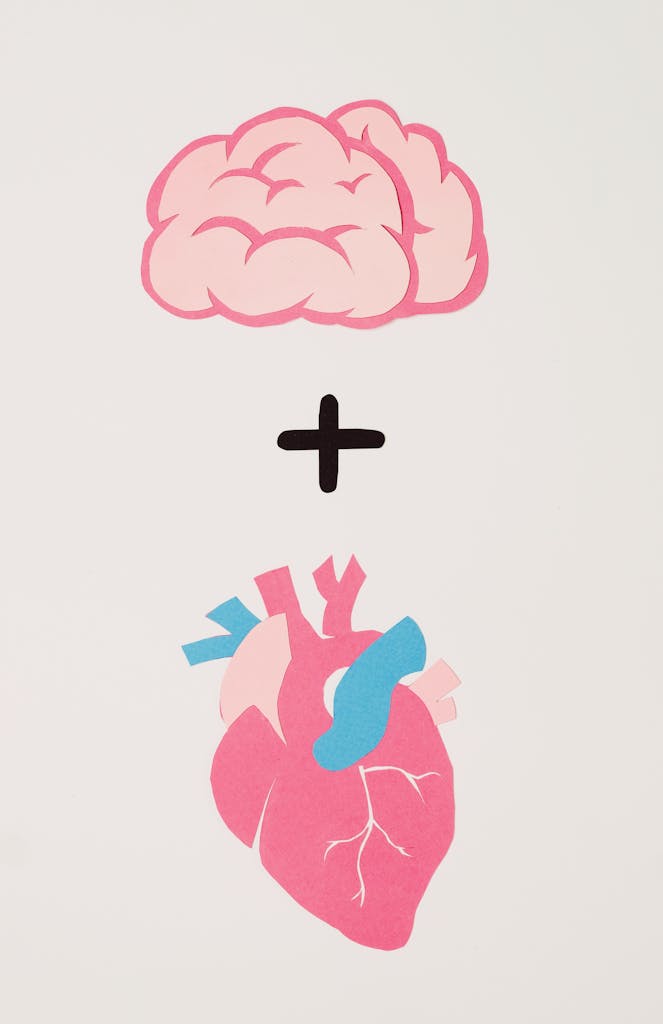 Artistic illustration symbolizing the balance of logic and emotion using brain and heart.
