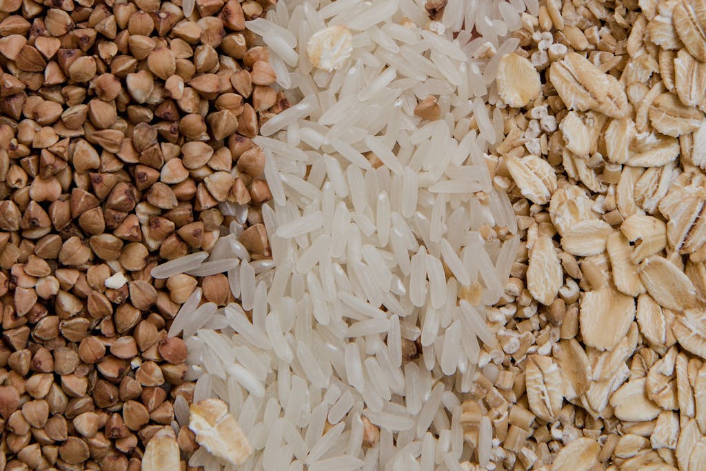 Close-up of assorted raw gluten-free grains including buckwheat, rice, and oats, highlighting healthy food choices.