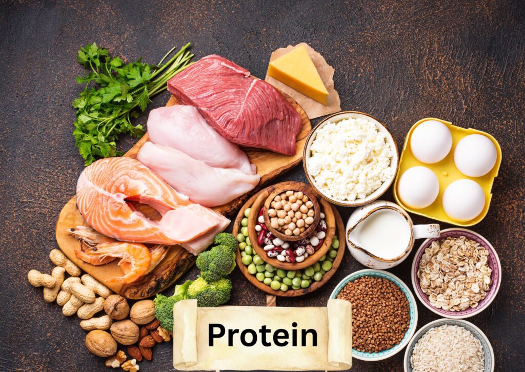 Variety of protein-rich foods displayed