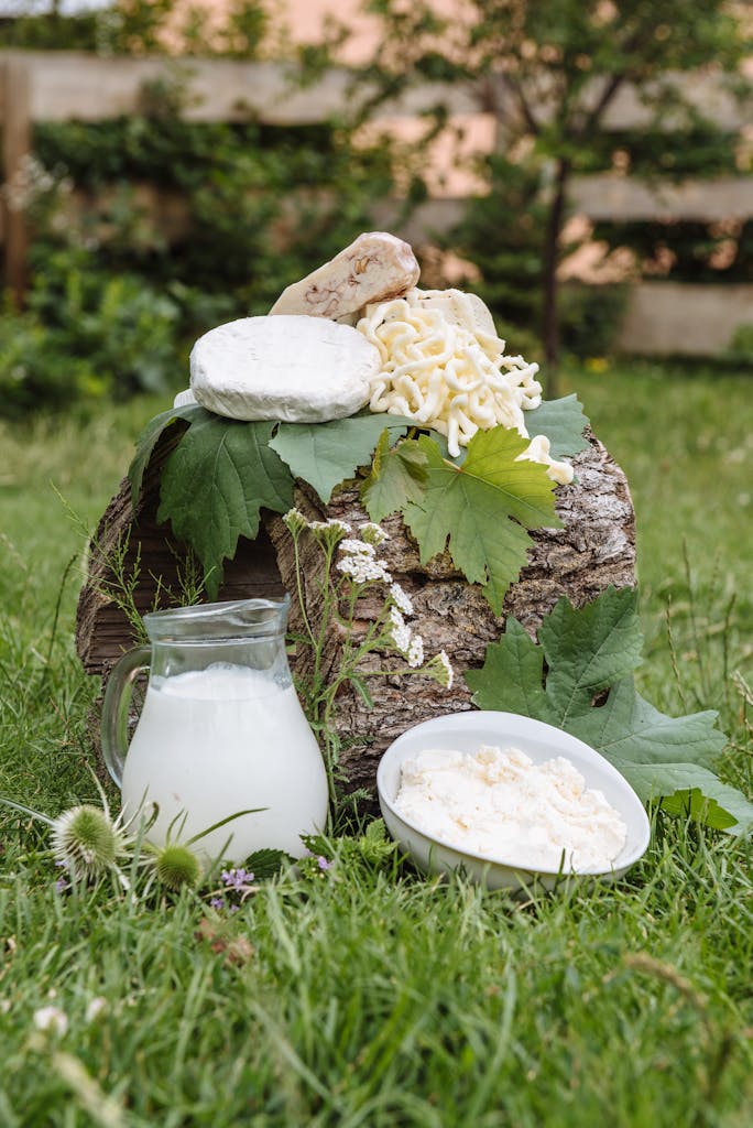 Dairy and gut health - Arrangement of cheeses and milk on grass for an organic feel.