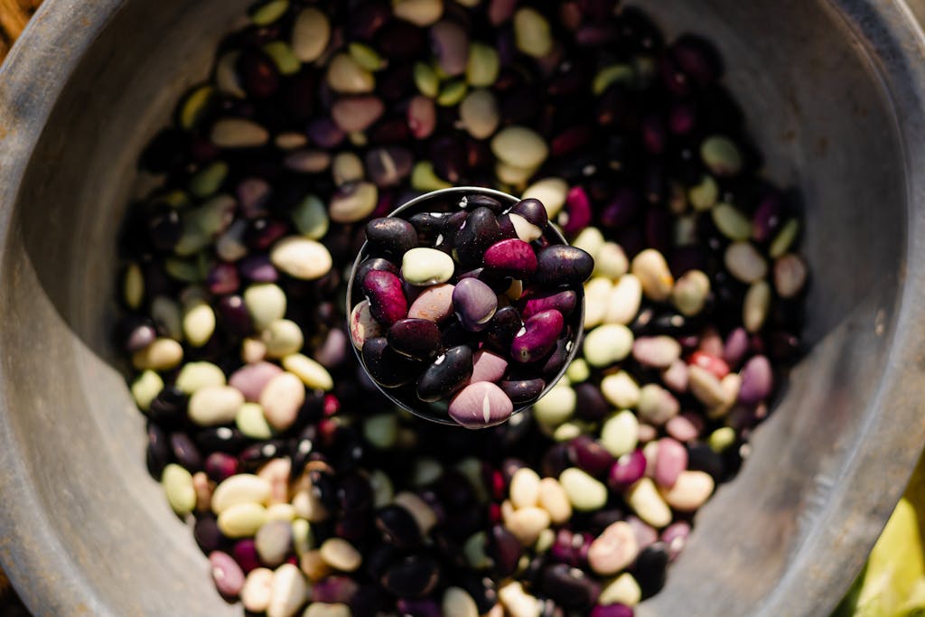 Vibrant mix of beans in a rustic bowl, highlighting Indian cuisine and culture in Koraput, Odisha.