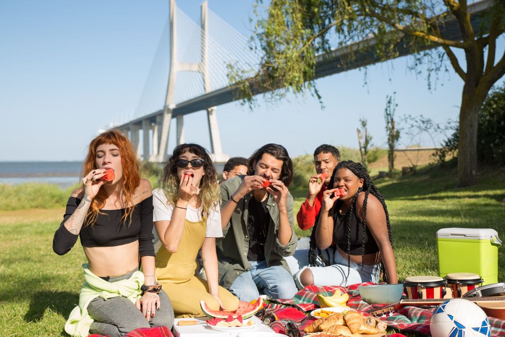 Friends enjoying a sunny picnic near Vasco da Gama Bridge, Lisbon.